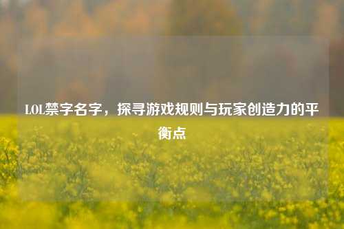 LOL禁字名字，探寻游戏规则与玩家创造力的平衡点