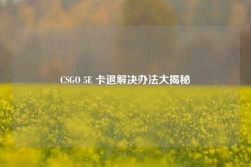 CSGO 5E 卡退解决办法大揭秘