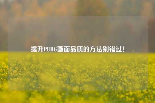 提升PUBG画面品质的方法别错过！
