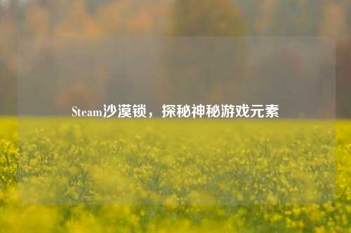Steam沙漠锁，探秘神秘游戏元素