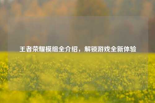 王者荣耀模组全介绍，解锁游戏全新体验