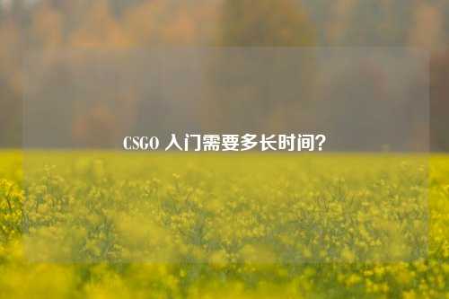 CSGO 入门需要多长时间？