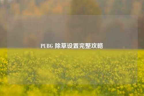 PUBG 除草设置完整攻略