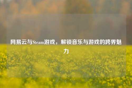 网易云与Steam游戏，解锁音乐与游戏的跨界魅力