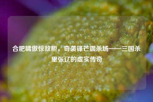 合肥啸傲惊敌胆，奇袭锋芒震杀场——三国杀里张辽的虚实传奇