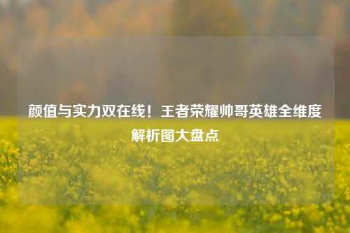 颜值与实力双在线！王者荣耀帅哥英雄全维度解析图大盘点
