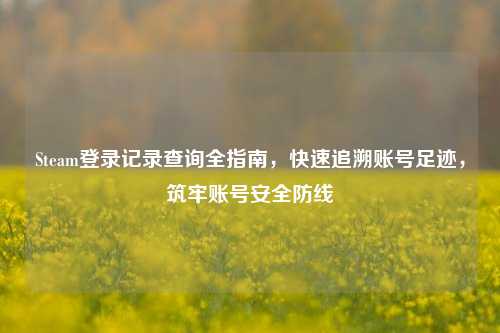 Steam登录记录查询全指南，快速追溯账号足迹，筑牢账号安全防线