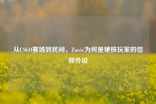从CSGO赛场到民间，Zowie为何是硬核玩家的信仰外设