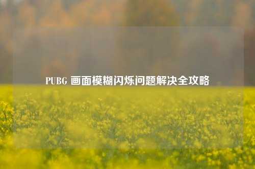PUBG 画面模糊闪烁问题解决全攻略