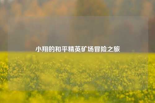 小翔的和平精英矿场冒险之旅