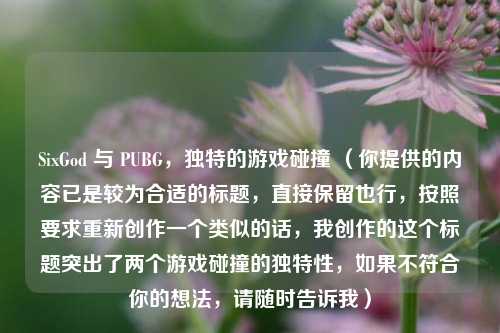 SixGod 与 PUBG，独特的游戏碰撞 （你提供的内容已是较为合适的标题，直接保留也行，按照要求重新创作一个类似的话，我创作的这个标题突出了两个游戏碰撞的独特性，如果不符合你的想法，请随时告诉我）