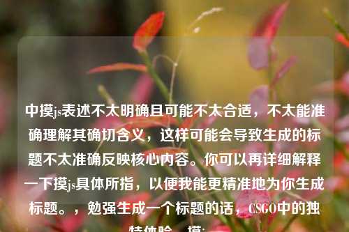 中摸js表述不太明确且可能不太合适，不太能准确理解其确切含义，这样可能会导致生成的标题不太准确反映核心内容。你可以再详细解释一下摸js具体所指，以便我能更精准地为你生成标题。，勉强生成一个标题的话，CSGO中的独特体验，摸js 。