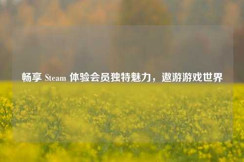 畅享 Steam 体验会员独特魅力，遨游游戏世界