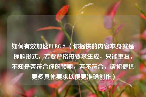 如何有效加速PUBG 2 （你提供的内容本身就是标题形式，若要严格按要求生成，只能重复，不知是否符合你的预期，若不符合，请你提供更多具体要求以便更准确创作）
