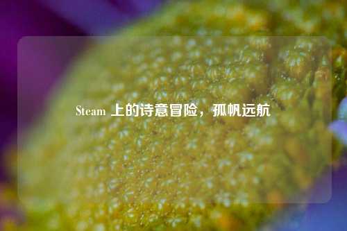 Steam 上的诗意冒险，孤帆远航