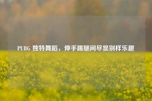 PUBG 独特舞蹈，伸手踢腿间尽显别样乐趣