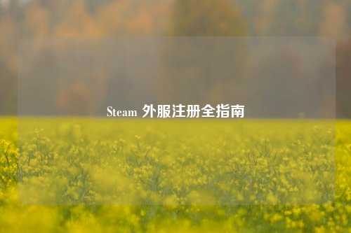 Steam 外服注册全指南