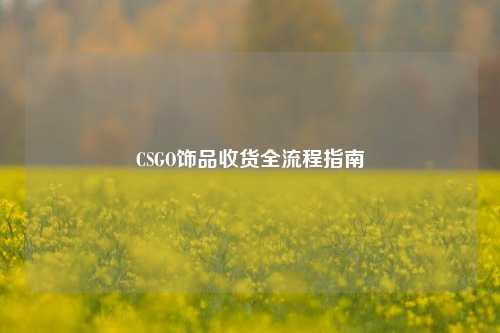 CSGO饰品收货全流程指南