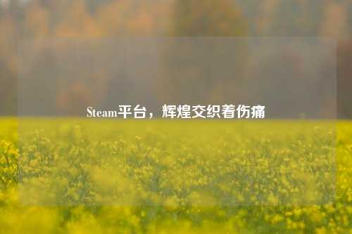 Steam平台，辉煌交织着伤痛