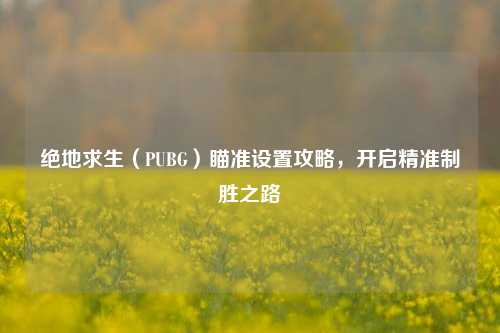 绝地求生（PUBG）瞄准设置攻略，开启精准制胜之路