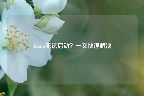 Steam无法启动？一文快速解决