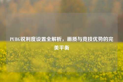 PUBG锐利度设置全解析，画质与竞技优势的完美平衡