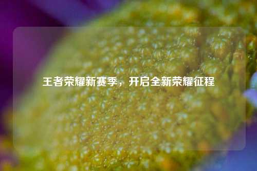 王者荣耀新赛季，开启全新荣耀征程