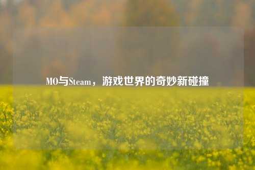 MO与Steam，游戏世界的奇妙新碰撞