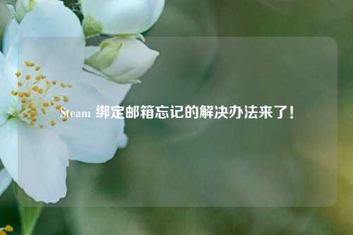 Steam 绑定邮箱忘记的解决办法来了！