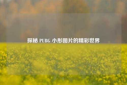 探秘 PUBG 小彤图片的精彩世界