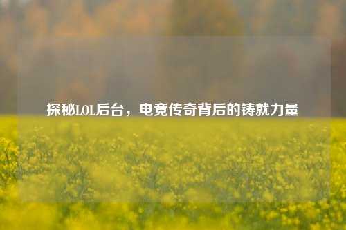 探秘LOL后台，电竞传奇背后的铸就力量