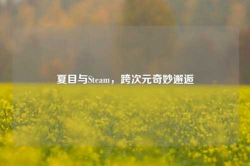 夏目与Steam，跨次元奇妙邂逅
