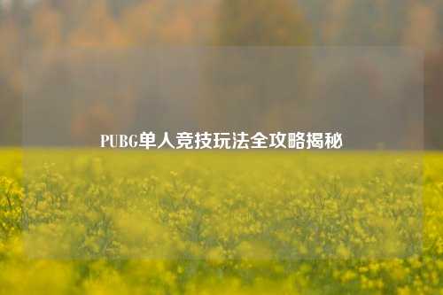 PUBG单人竞技玩法全攻略揭秘
