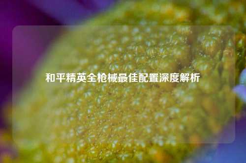 和平精英全枪械更佳配置深度解析