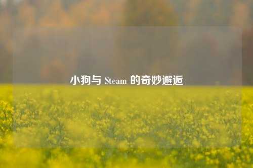 小狗与 Steam 的奇妙邂逅