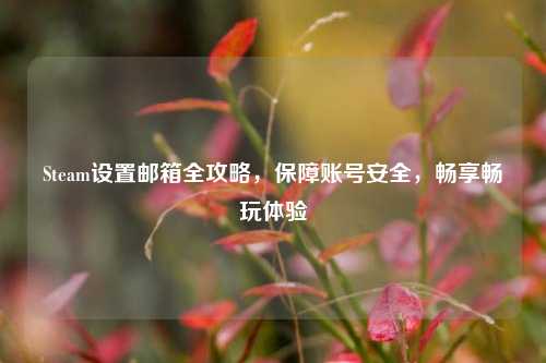 Steam设置邮箱全攻略，保障账号安全，畅享畅玩体验