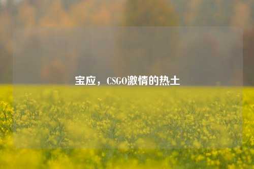 宝应，CSGO***的热土