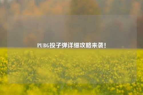 PUBG投子弹详细攻略来袭！