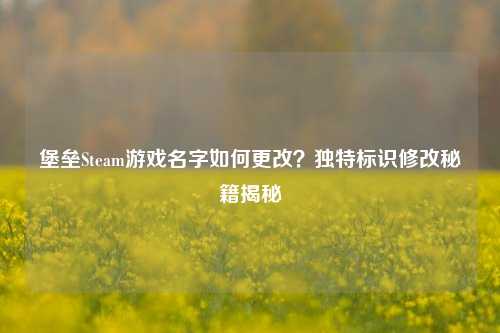 堡垒Steam游戏名字如何更改?独特标识修改秘籍揭秘