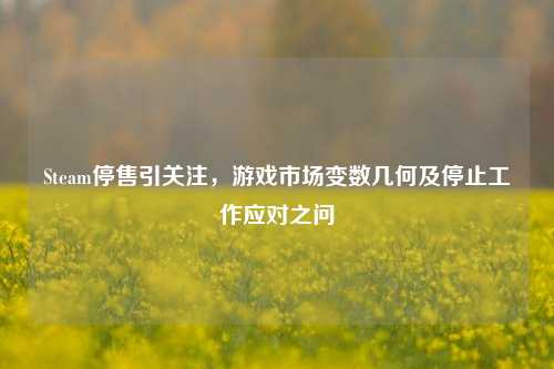 Steam停售引关注，游戏市场变数几何及停止工作应对之问