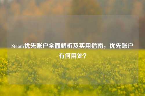 Steam优先账户全面解析及实用指南，优先账户有何用处？