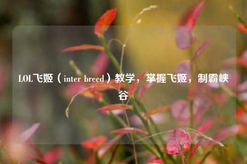 LOL飞姬（inter breed）教学，掌握飞姬，制霸峡谷
