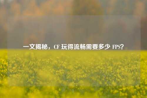 一文揭秘，CF 玩得流畅需要多少 FPS？