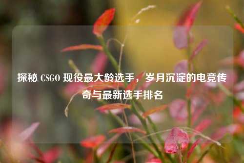 探秘 CSGO 现役更大龄选手,岁月沉淀的电竞传奇与最新选手排名