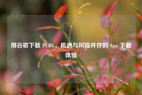 用谷歌下载 PUBG，机遇与风险并存的 App 下载体验