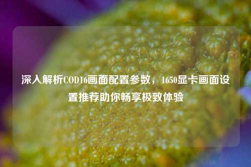 深入解析COD16画面配置参数，1650显卡画面设置推荐助你畅享极致体验