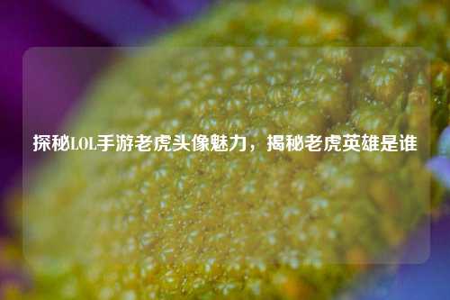探秘LOL手游老虎头像魅力,揭秘老虎英雄是谁