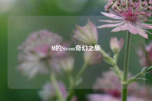 M的Steam奇幻之旅