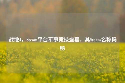 战地4，Steam平***事竞技盛宴，其Steam名称揭秘
