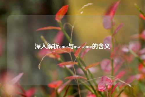 深入解析ome与awesome的含义